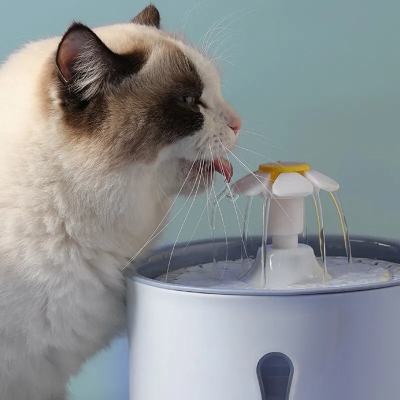 2.4L Cat Water Fountain with LED, USB, Carbon Filters