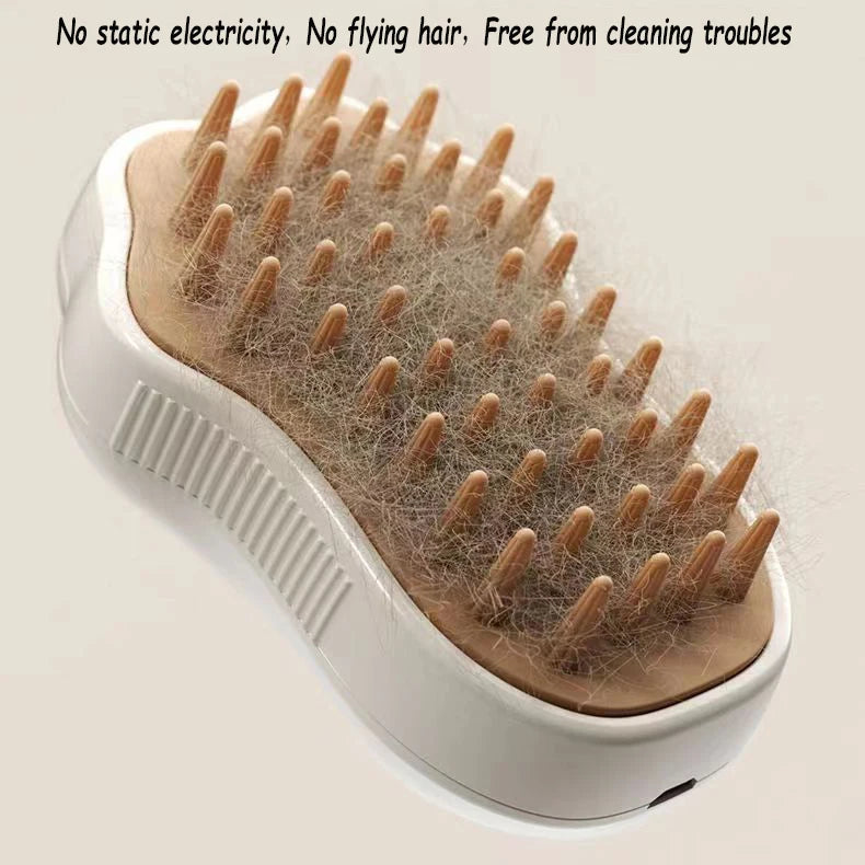 Electric Comb, Steam, and Massage Tool