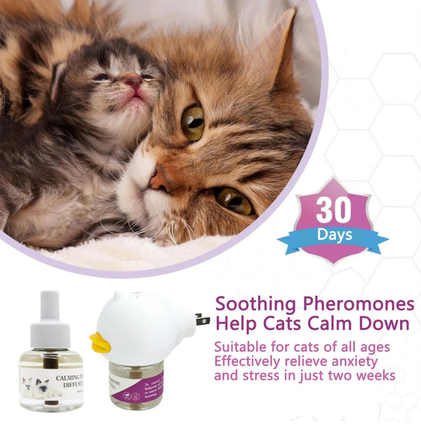 Cat Pheromone Diffuser – Anti-Stress Kit