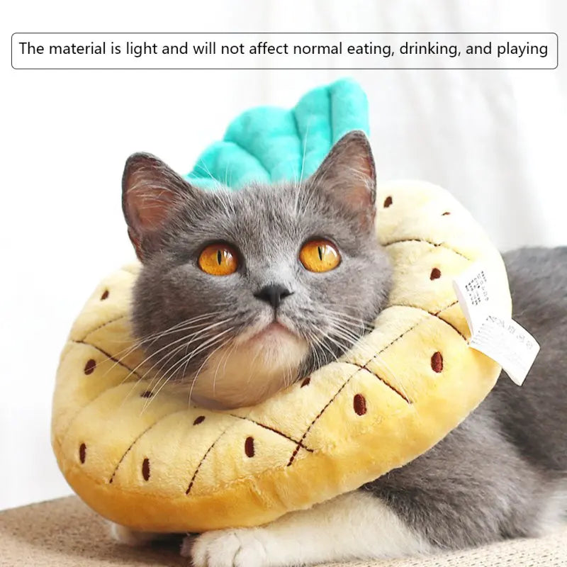 Cat Fruit E-Collar - Adjustable Recovery Cone, Cotton Blend, Pet Protection