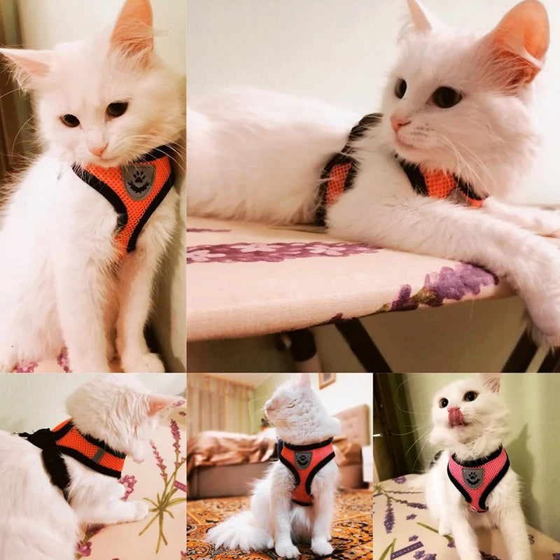 Polyester Mesh Cat Harness Vest with Adjustable Lead Leash for Walking