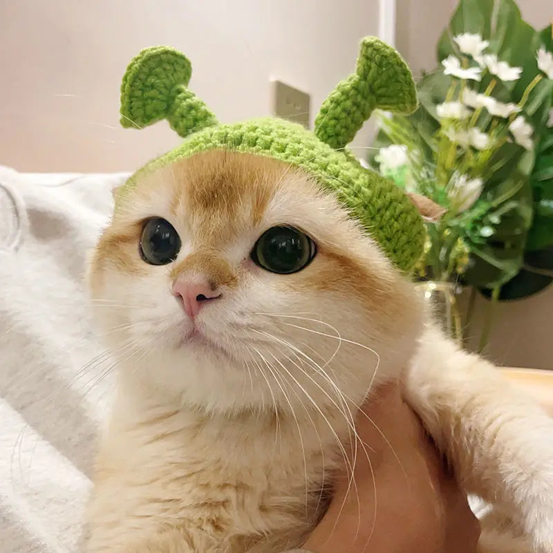 Knitted Cat Hat – Cute Autumn/Winter Party Accessory