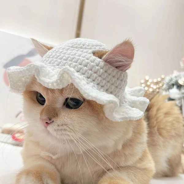 Knitted Cat Hat – Cute Autumn/Winter Party Accessory