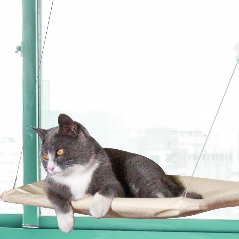 Washable, Detachable Bed with Suction Shelf, Ideal for Cat Sleeping, Providing Pet Supplies.