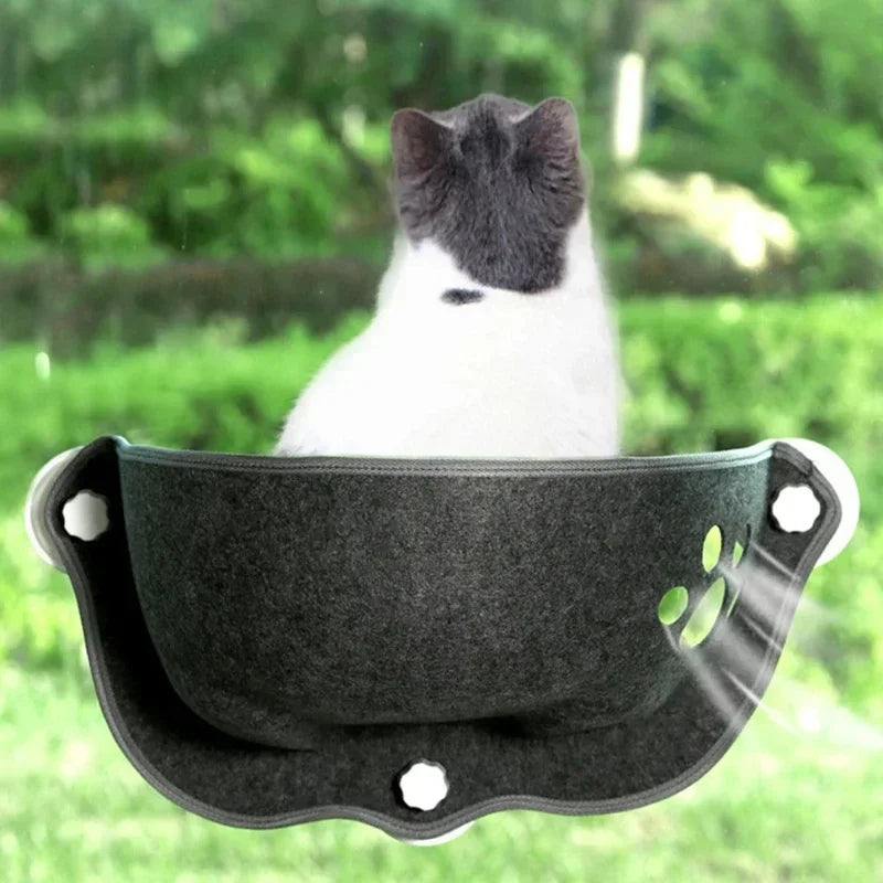 Hanging Cat Bed with Cushion and Strong Suction Cups